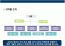 글로벌 기업의 조직과 통제 17페이지