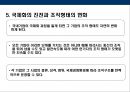 글로벌 기업의 조직과 통제 36페이지