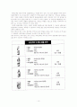 비타500 성공사례분석 10페이지