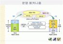 탄소 시장과 풍력 발전의 급부상에 대한 조사, 그리고 이들의 발전 전망에 대하여  7페이지