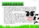 서울우유의 소비자 행동분석 3페이지