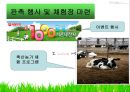 서울우유의 소비자 행동분석 19페이지