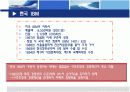 한국 미국 IBM의 조직개발 구조조정 3페이지