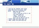 한국 미국 IBM의 조직개발 구조조정 4페이지