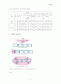 적조현상 11페이지