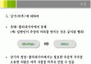 [사회인류학]상징과 의례 17페이지