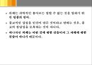 [사회인류학]상징과 의례 44페이지