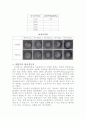 [실험보고서]마찰용접 시 용접부의  기계적 성질 고찰  4페이지