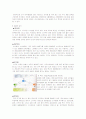 [스포츠마케팅]'맨유'의 마케팅전략 및 성공요인 분석 13페이지