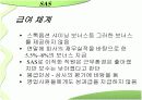 동기부여 sas 11페이지