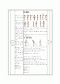 청소년 체조 지도안 10페이지