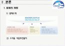 스노우캐슬 시장조사 (ppt) 5페이지