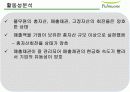 풀무원 기업재무관리 분석  16페이지