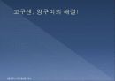 일본문화 - 드라마의 모든 것 22페이지