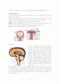 신경계의 구조와 기능 5페이지