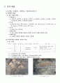 수성구 시지동 매호천 조사자료 (백악기 공룡발자국) 3페이지