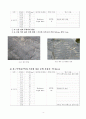 수성구 시지동 매호천 조사자료 (백악기 공룡발자국) 15페이지