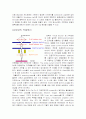 주사전자현미경(SEM) 6페이지