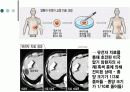 유전자 조작 프리젠테이션 8페이지