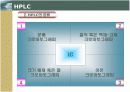 HPLC (고성능 액체 크로마토 그래피) 의 이론과 기본 크로마토그래피 법의 내용이해와 기기장치의 설명 및 응용 11페이지