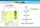 전도성고분자를 이용한 부식방지의 개념과 원리 및 여러 논문들을 통한 응용 8페이지