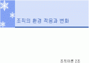 조직의 환경적응과 변화 1페이지