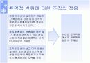 조직의 환경적응과 변화 18페이지