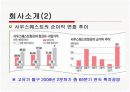 사우스웨스트 항공사의 성공 경영사례분석 4페이지