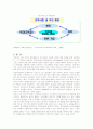 다문화가정의 지원방안과 각 분야별 대책 12페이지