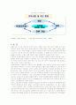 다문화가족의 문제점과 각 분야별 대책 13페이지