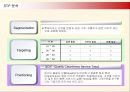 롯데리아의 마케팅전략 성공사례  25페이지