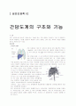 간담도계의 구조와 기능 1페이지