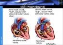 생리학 : 심장과 순환  24페이지