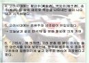 술의어원과 문화,변천사,예절에 대한분석 13페이지