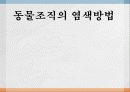 동물조직 염색법 1페이지