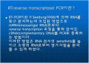 RT(reverse transcriptase) PCR & Real time PCR  3페이지
