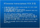 RT(reverse transcriptase) PCR & Real time PCR  4페이지