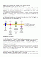 단백질 구조와 기능 2페이지