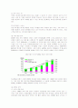 삼성전자 애니콜의 유럽진출 마케팅전략과 성공요인 4페이지