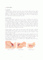 출산문화와 출산기법 2페이지