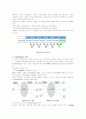 [물류관리]e-Marketplace 형태분석과 기업경쟁력 확보방안 4페이지