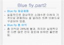 마케팅관련 blue fly 사례연구 3페이지