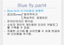 마케팅관련 blue fly 사례연구 5페이지