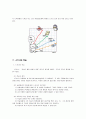 스키너와 조작적 조건화에 대하여 8페이지