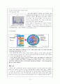 SCM과 CRP에 관해 알아보고, 롯데마트의  CRP도입과 그 효과 및 SCM의 향후 발전 전망에 관해 논하시오. 13페이지