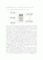 초등학교 학생들의 자아존중감과 범죄피해경험 사이의 인과관계 6페이지