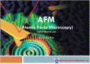 AFM 구동 원리및 측정방법 1페이지