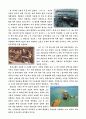 한국 경제의 신화 故 정주영 일대기 4페이지