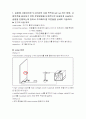 유전 실험 리포트 1페이지