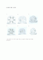 [요소설계]경량화 된 자동차 휠 설계보고서 15페이지